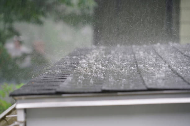 Best Roof Moss and Algae Removal  in Veedersburg, IN