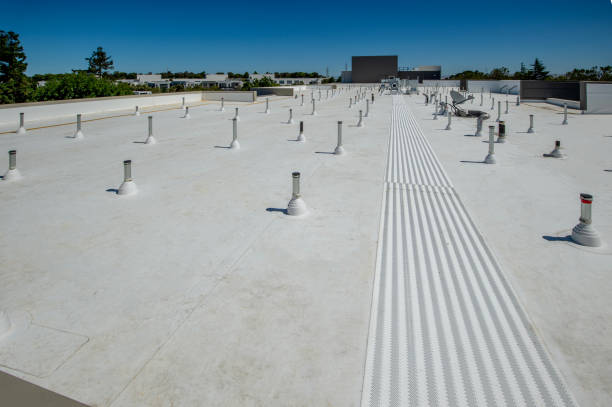 Best Cold Roofs  in Veedersburg, IN